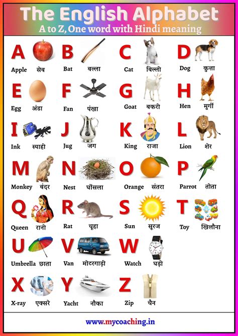 biguin in English .